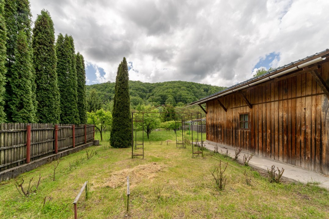Colț de Rai -Casă de vacanță cu Pădure-Livadă și Râu -Jud.Argeș!