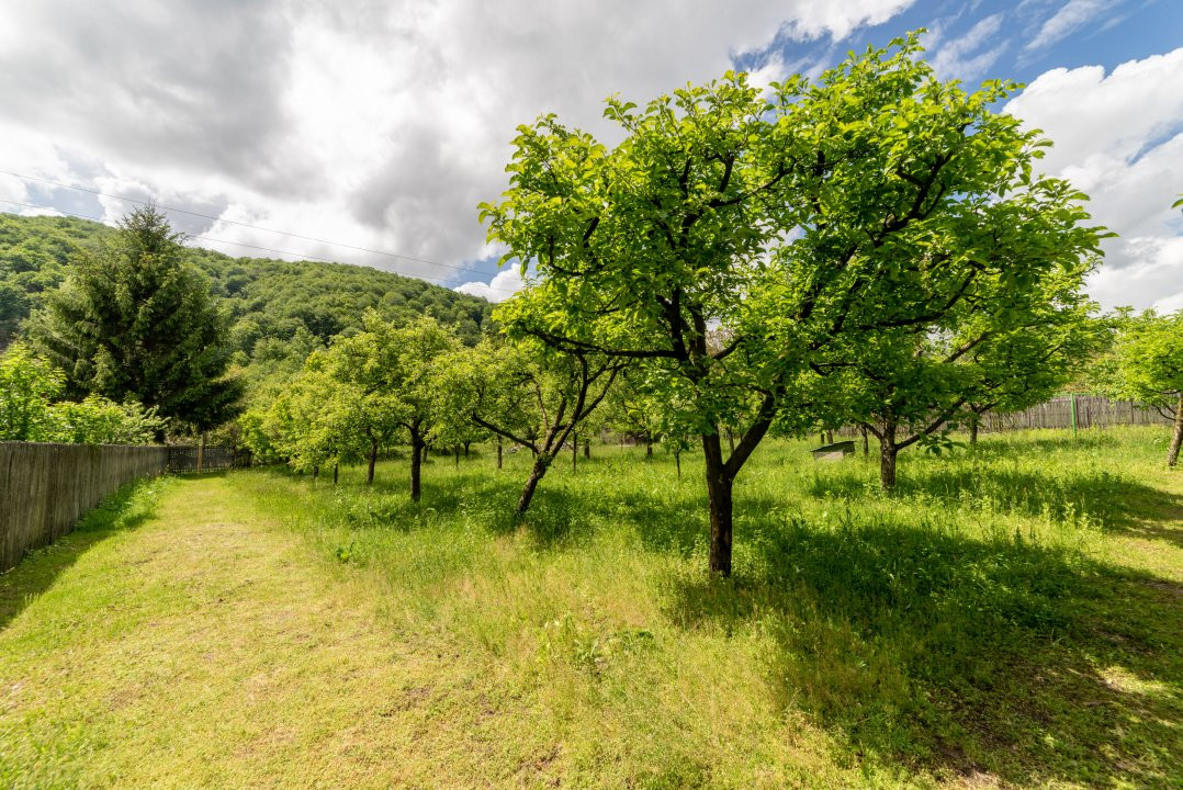 Colț de Rai -Casă de vacanță cu Pădure-Livadă și Râu -Jud.Argeș!