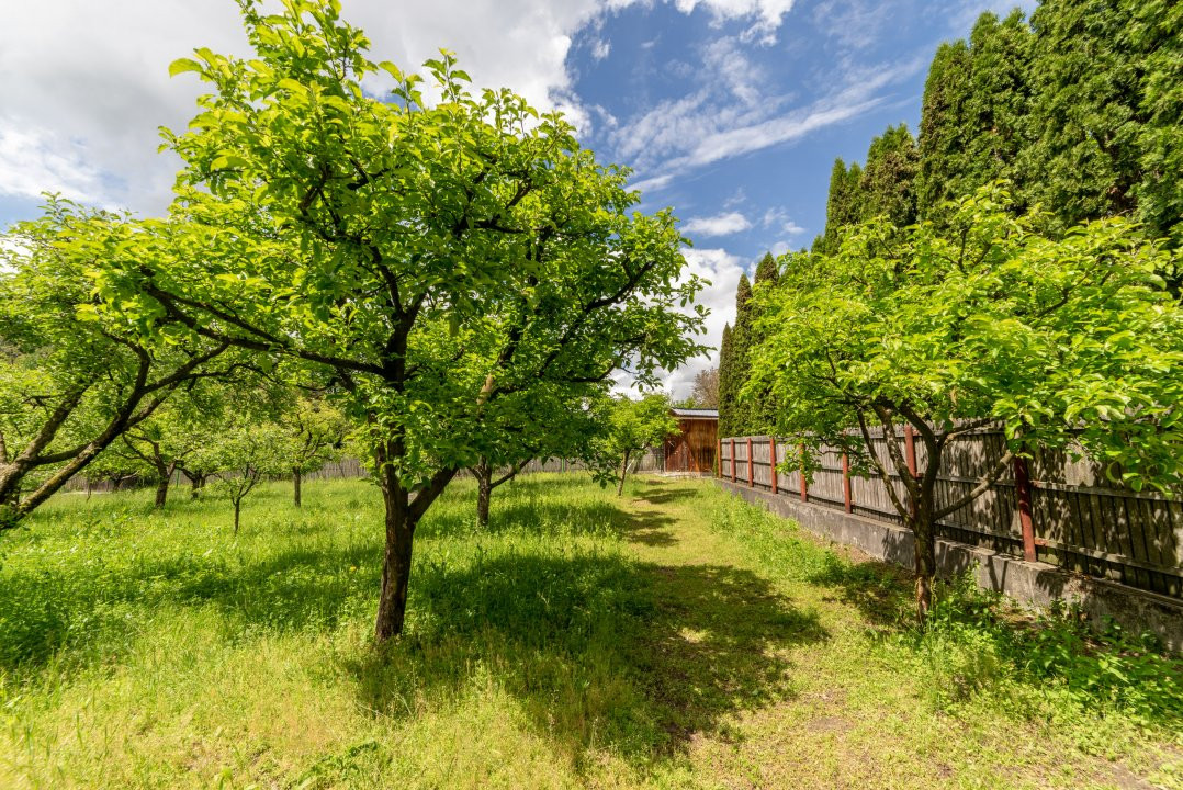 Colț de Rai -Casă de vacanță cu Pădure-Livadă și Râu -Jud.Argeș!