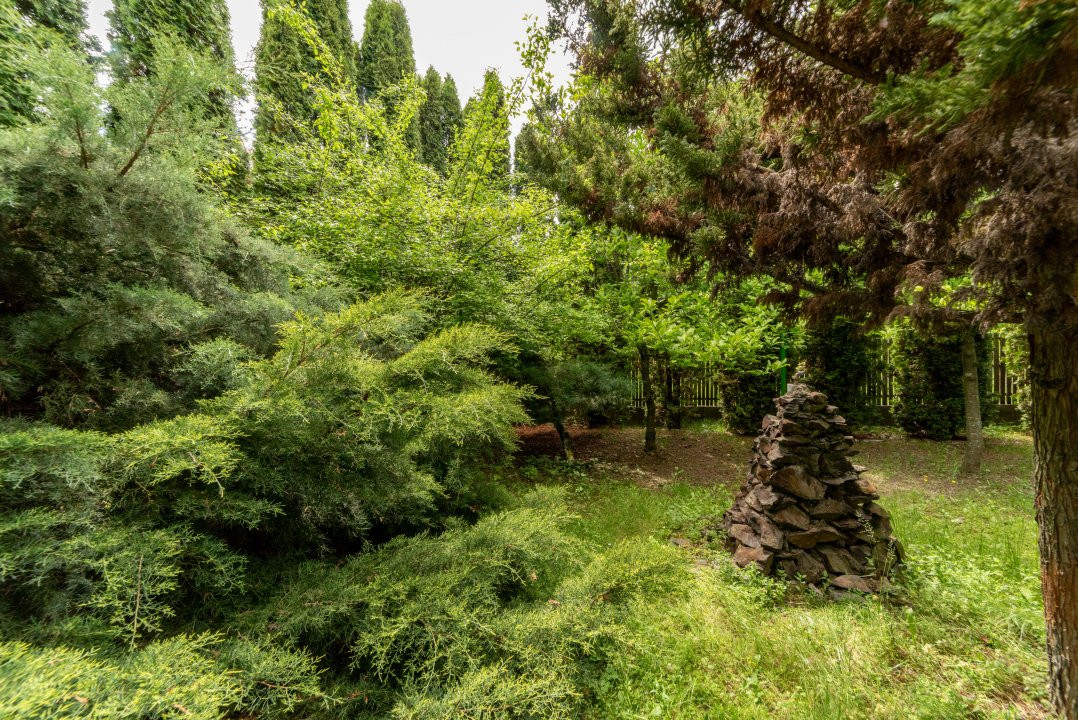 Colț de Rai -Casă de vacanță cu Pădure-Livadă și Râu -Jud.Argeș!