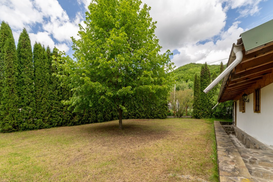 Colț de Rai -Casă de vacanță cu Pădure-Livadă și Râu -Jud.Argeș!
