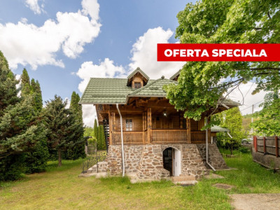 Colț de Rai -Casă de vacanță cu Pădure-Livadă și Râu -Jud.Argeș!