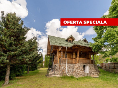 Colț de Rai -Casă de vacanță cu Pădure-Livadă și Râu -Jud.Argeș!