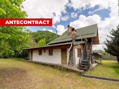 Colț de Rai -Casă de vacanță cu Pădure-Livadă și Râu -Jud.Argeș!