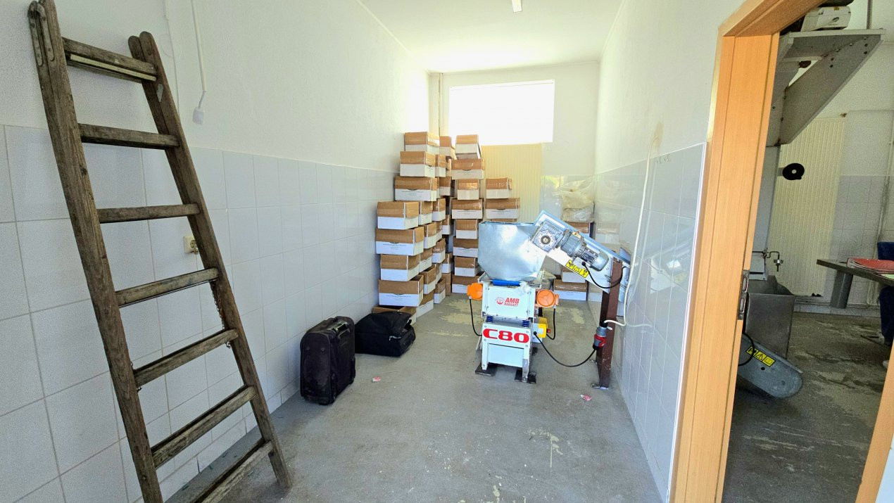 De Vânzare Casă Botiz