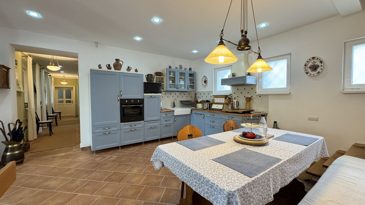 Casa din Vie 6 camere D+P+M Teren 5431 mp, Str. Grădina Viilor-Carei-Comision 0%