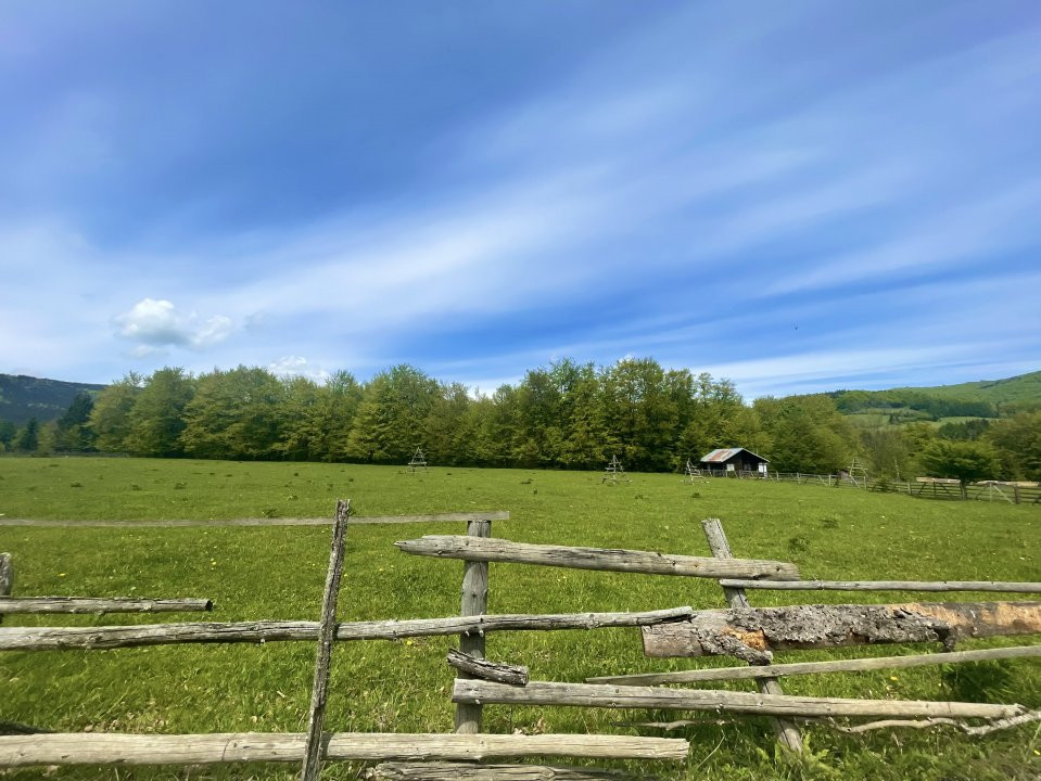 Teren Intravilan 5.000 mp in Traisteni, Valea Doftanei