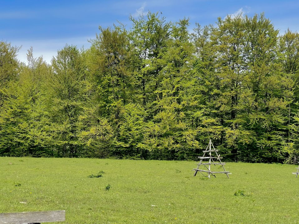 Teren Intravilan 5.000 mp in Traisteni, Valea Doftanei