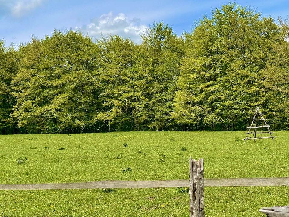Teren Intravilan 5.000 mp in Traisteni, Valea Doftanei