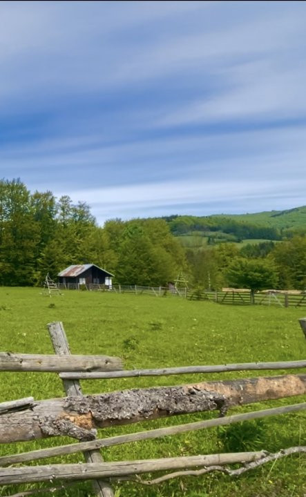Teren Intravilan 5.000 mp in Traisteni, Valea Doftanei