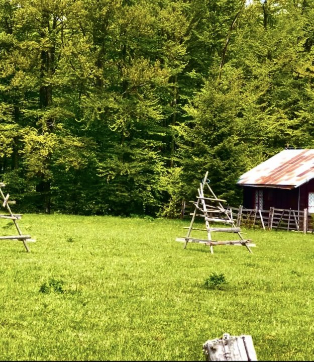 Teren Intravilan 5.000 mp in Traisteni, Valea Doftanei