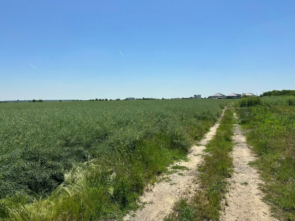 Teren Tunari - Dimieni Intravilan 3300 mp