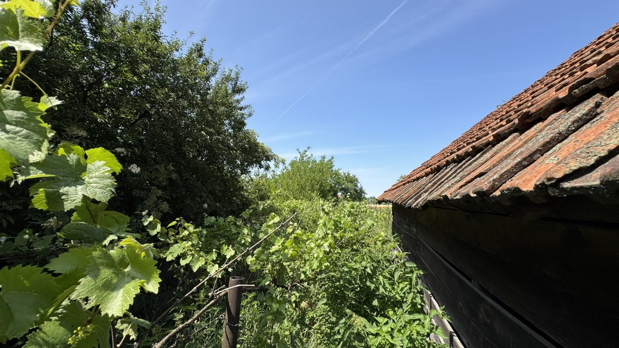 Casă 3 camere, Teren 1079 mp Berveni SM - Comision 0% cumpărător