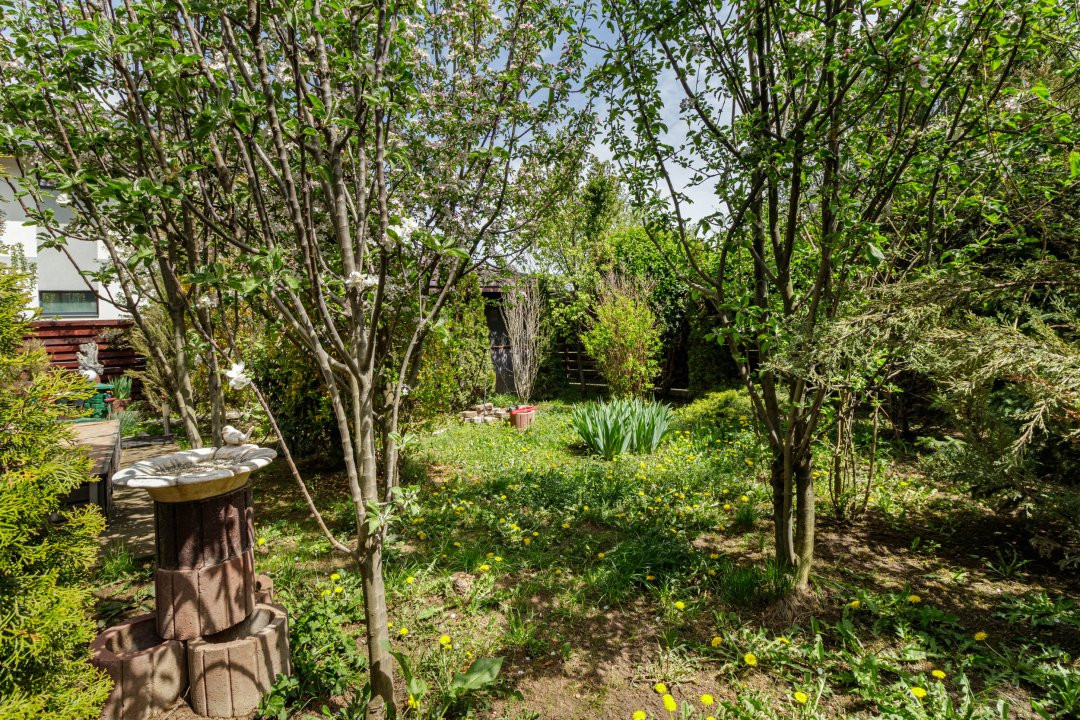 Vila spațioasă și elegantă, aproape de pădure – Tunari, Ilfov