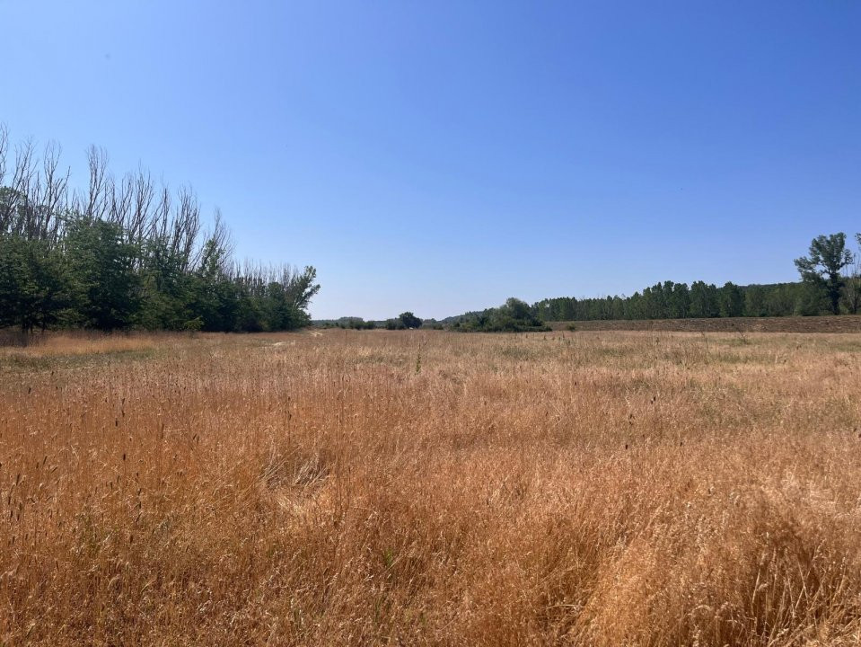 Teren agricol cu potential – 24.834 mp, zona Podul Jiului