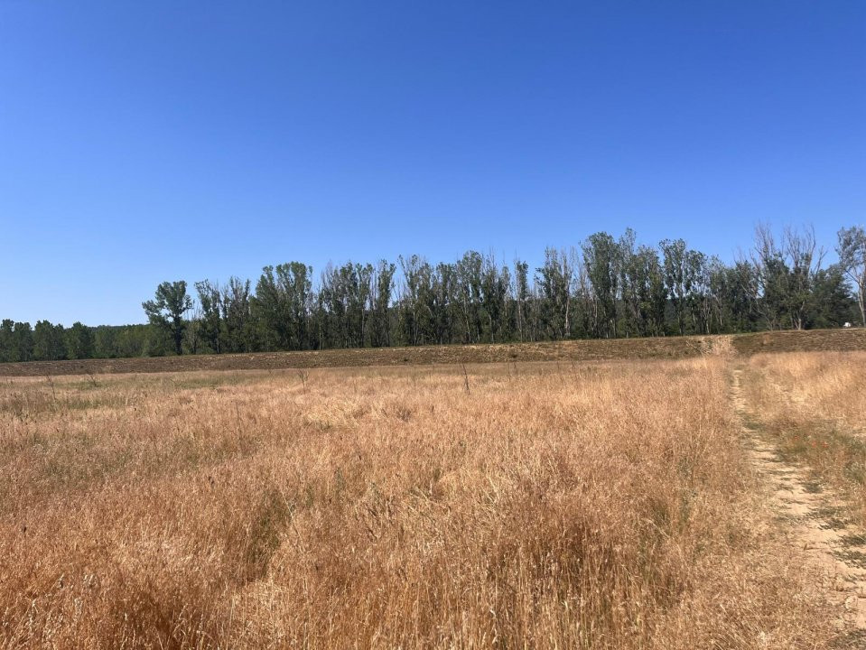 Teren agricol cu potential – 24.834 mp, zona Podul Jiului