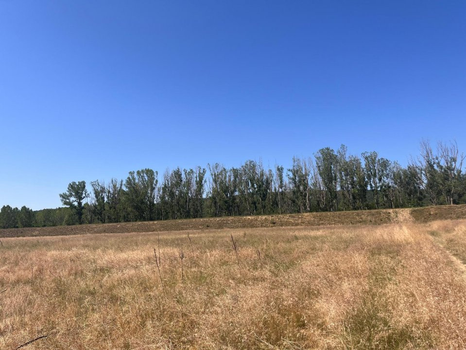 Teren agricol cu potential – 24.834 mp, zona Podul Jiului