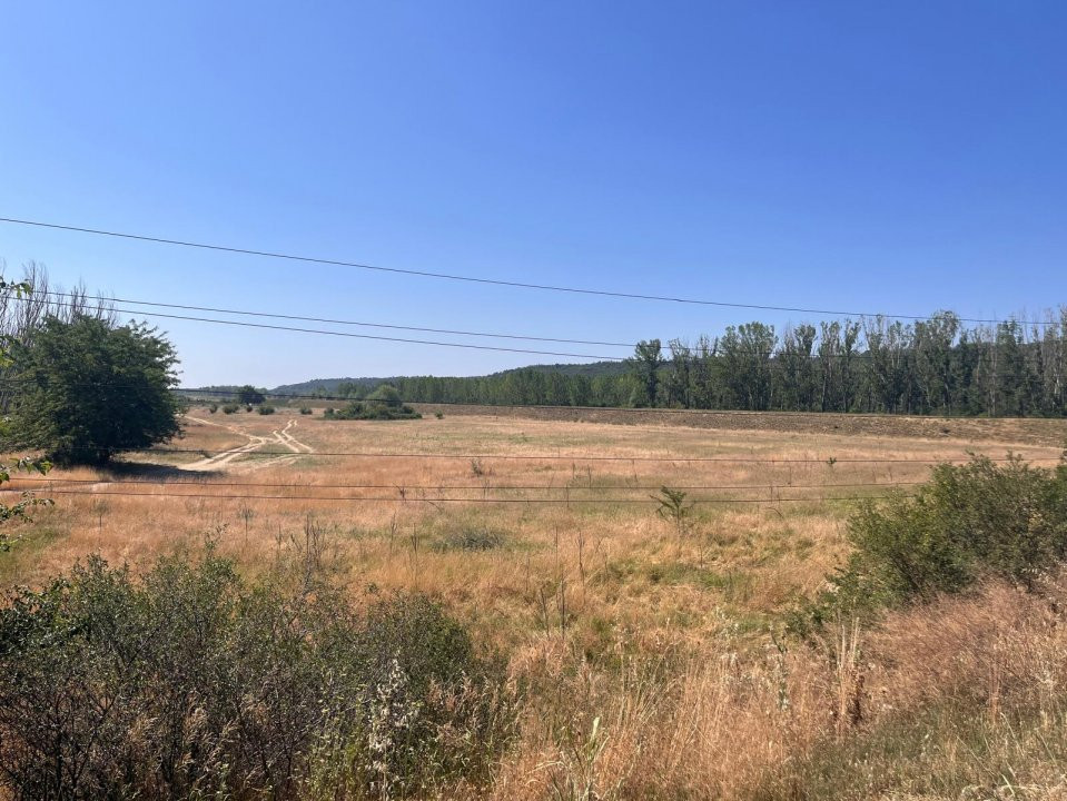 Teren agricol cu potential – 24.834 mp, zona Podul Jiului