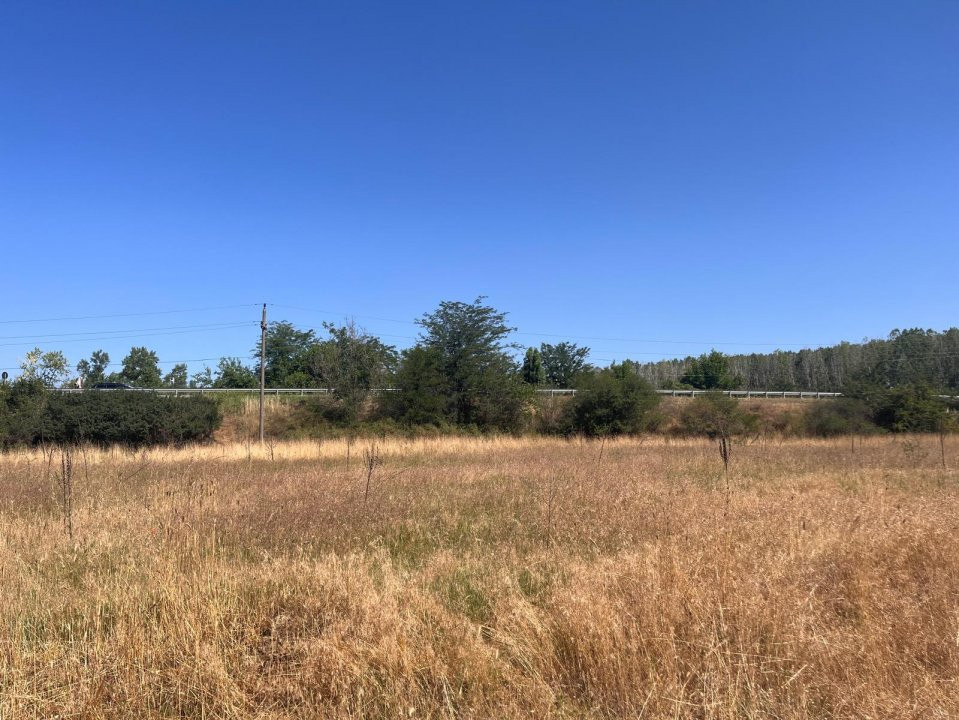Teren agricol cu potential – 24.834 mp, zona Podul Jiului