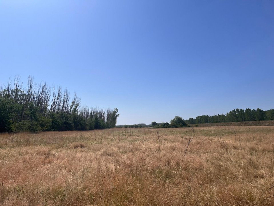 Teren agricol cu potential – 24.834 mp, zona Podul Jiului