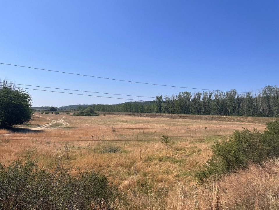 Teren agricol cu potential – 24.834 mp, zona Podul Jiului
