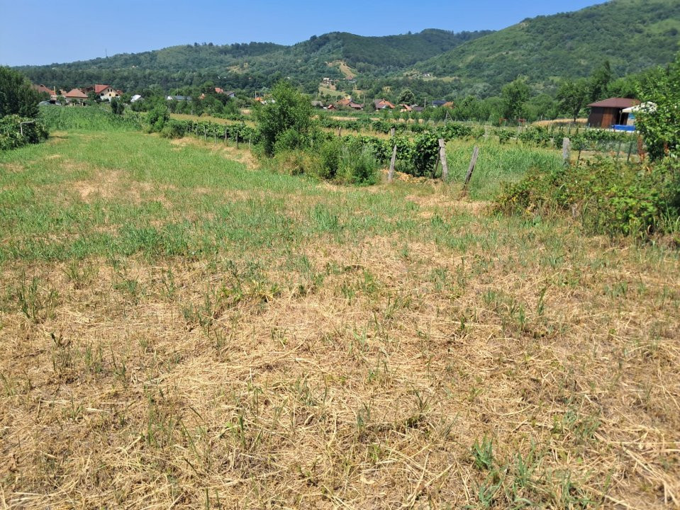TEREN INTRAVILAN POLOVRAGI