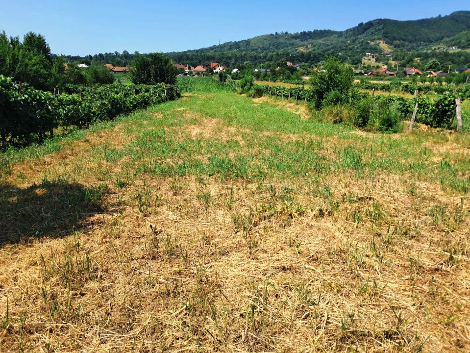 TEREN INTRAVILAN POLOVRAGI