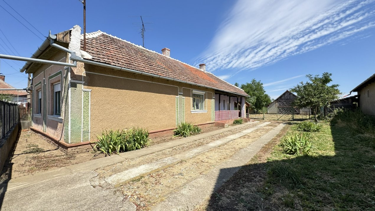 Casă 4 camere cu teren generos 3597 mp Loc. Petrești - Jud. Satu Mare