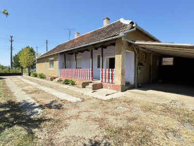 Casă 4 camere cu teren generos 3597 mp Loc. Petrești - Jud. Satu Mare