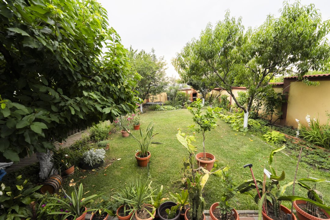Casă duplex multifuncțională -Hanul Doctorului -lângă Școala Româno Britanică