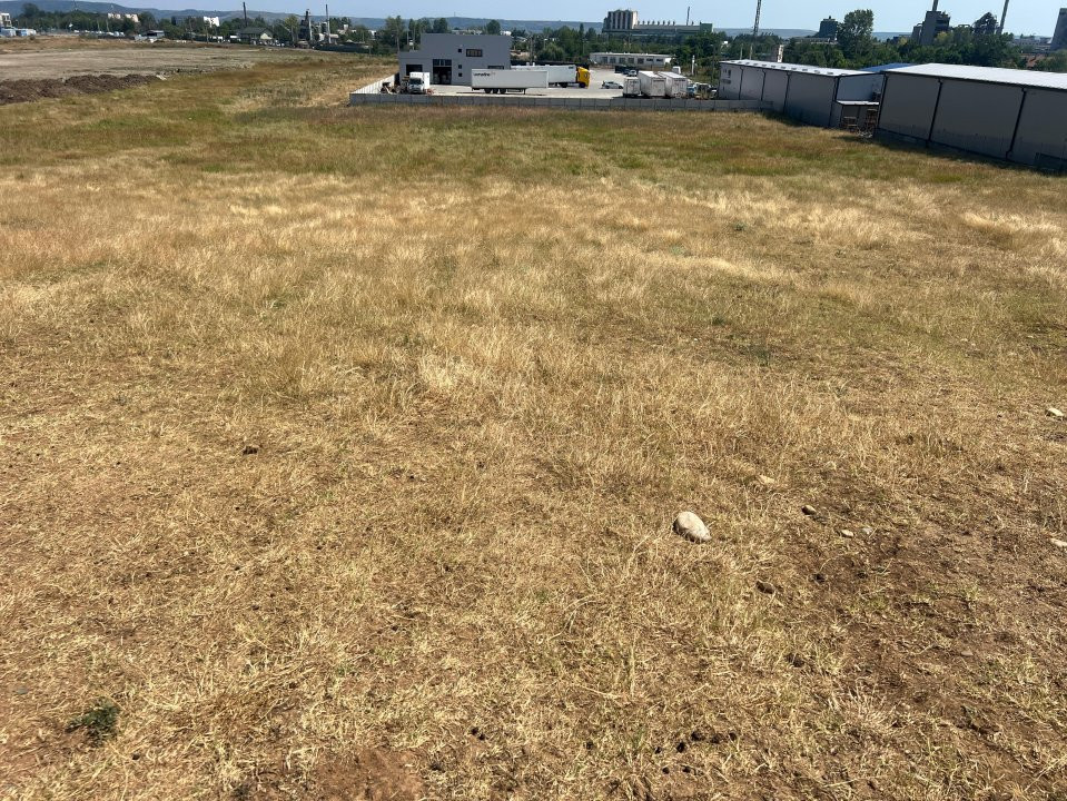 Teren intravilan Auchan Bradu 