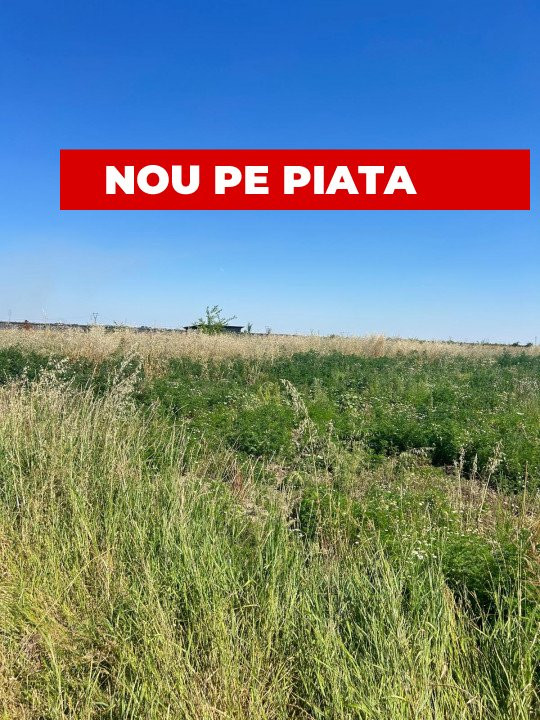 Teren intravilan 8.973 mp Loc. Albota -RESTAURANT LUXOR Arges 