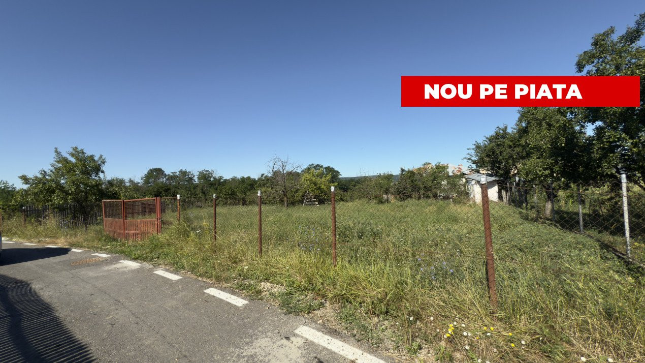 Teren generos de 1350 mp Budeasa Galasesti -Arges!
