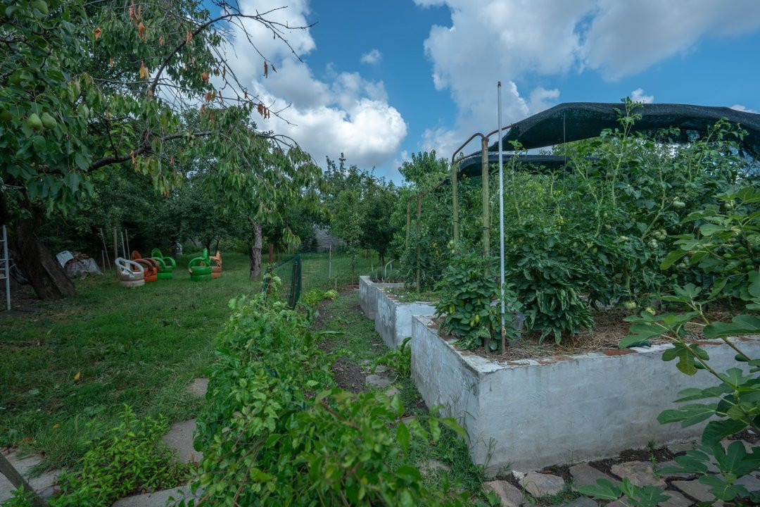 De Vânzare Casă Vânătorilor 9 ari teren