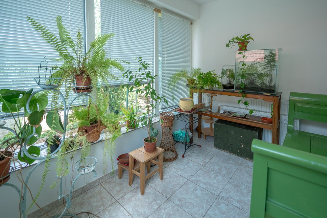 De Vânzare Casă Vânătorilor 9 ari teren