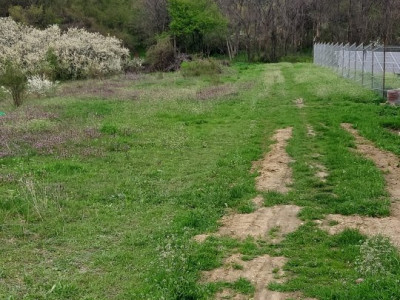 De inchiriat - Spatii birouri - Cladire Clasa A - Floreasca