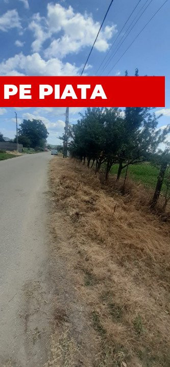 0% COMISION - TEREN GENEROS 5000 MP  GOLESTI - ARGES