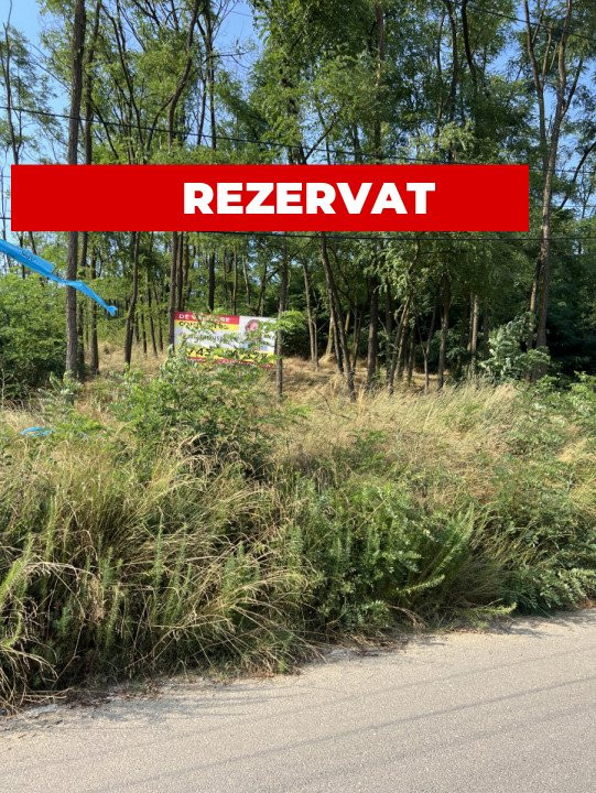 Teren 912 mp Hintesti panorama superba la padure