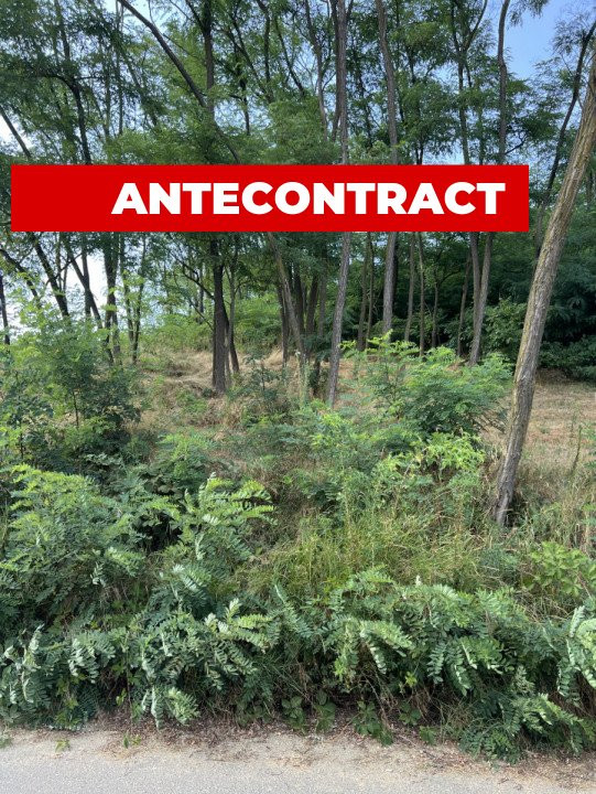 Teren 912 mp Hintesti panorama superba la padure