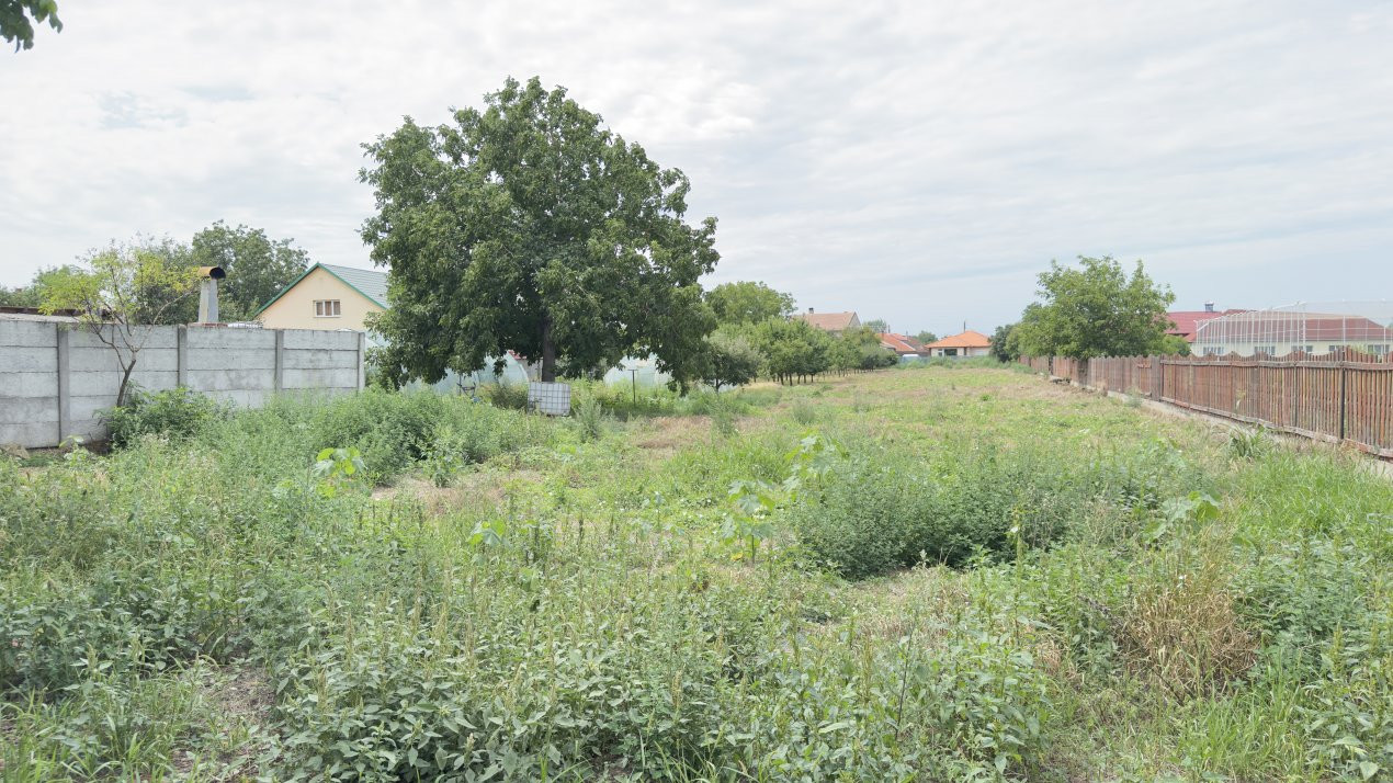 Casă 4 camere, Teren 3.489 mp Str.Petofi Șandor Nr.99 - Carei 