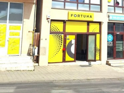 Spatiu Stradal Cu Vad Format Banat- Razboieni