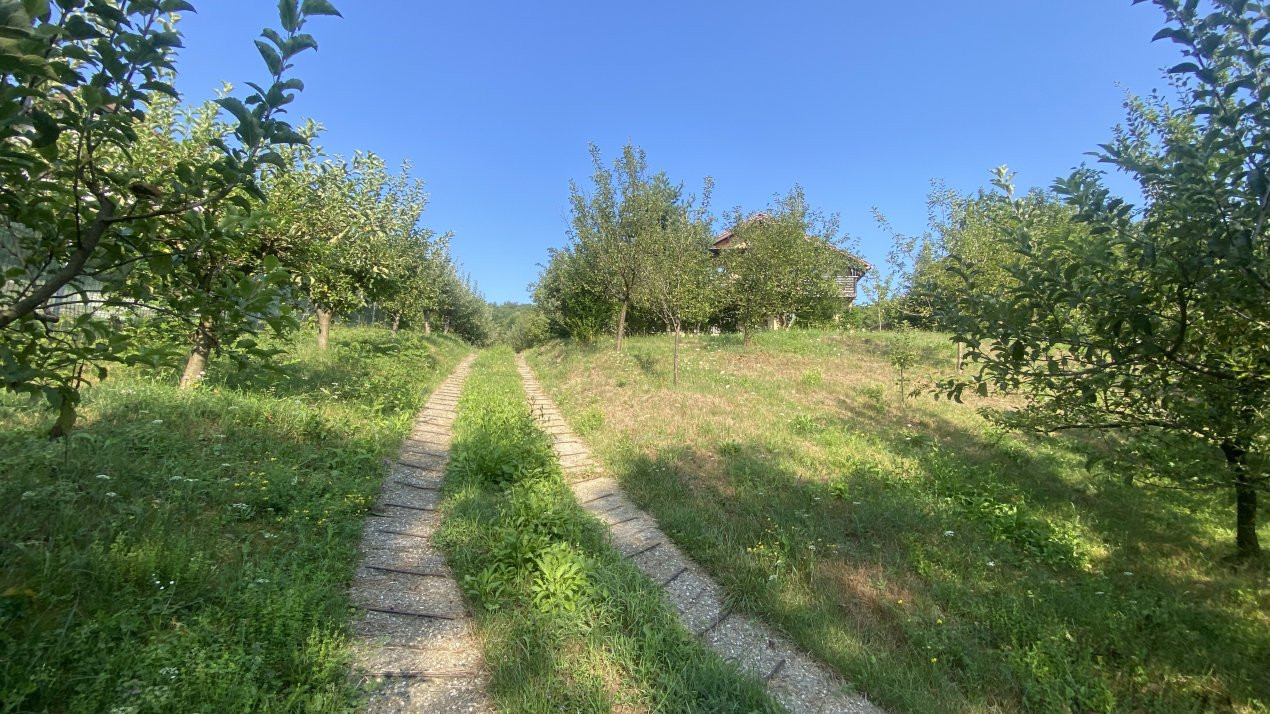 Casa ta de vis la 10 km de Mioveni. Comision 0%