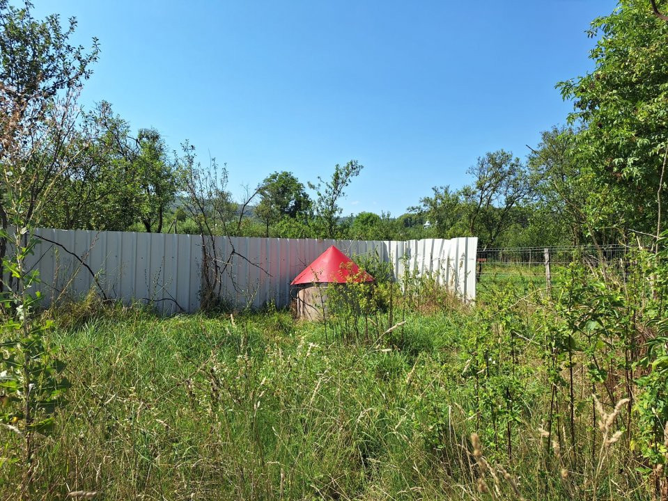 Proprietate industrială de vânzare – Hârtiesti, jud. Argeș