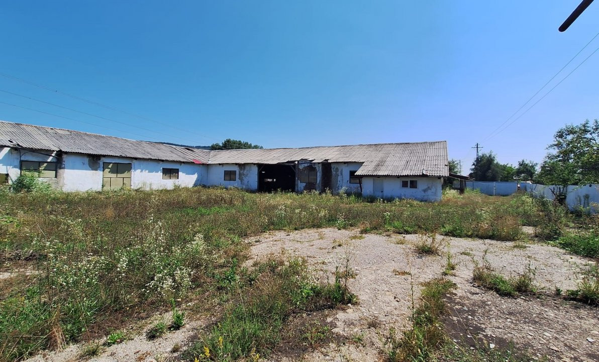 Proprietate industrială de vânzare – Hârtiesti, jud. Argeș