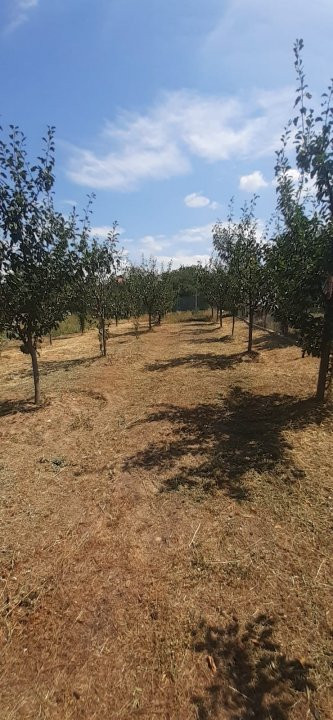 0% Comision - 2095 mp TEREN INTRAVILAN - SERBOENI ARGES