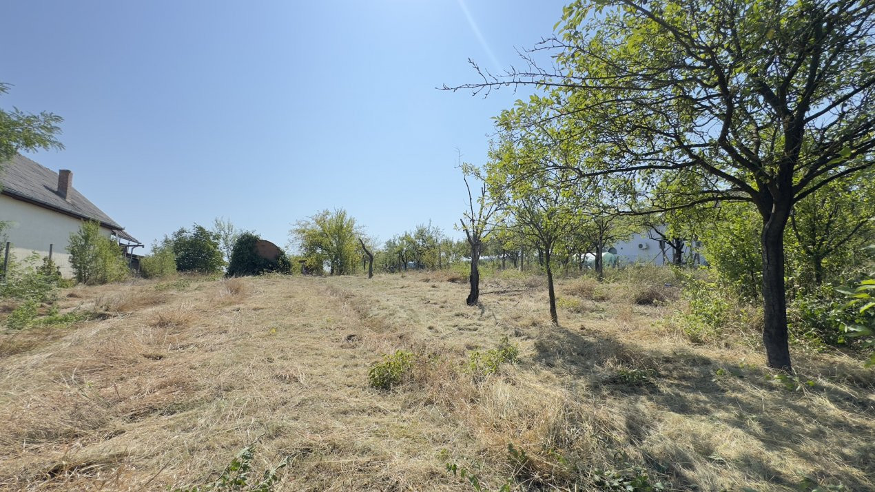 De vânzare Teren extravilan 2000 mp Carei – Grădina Viilor, Valea Tireamului 