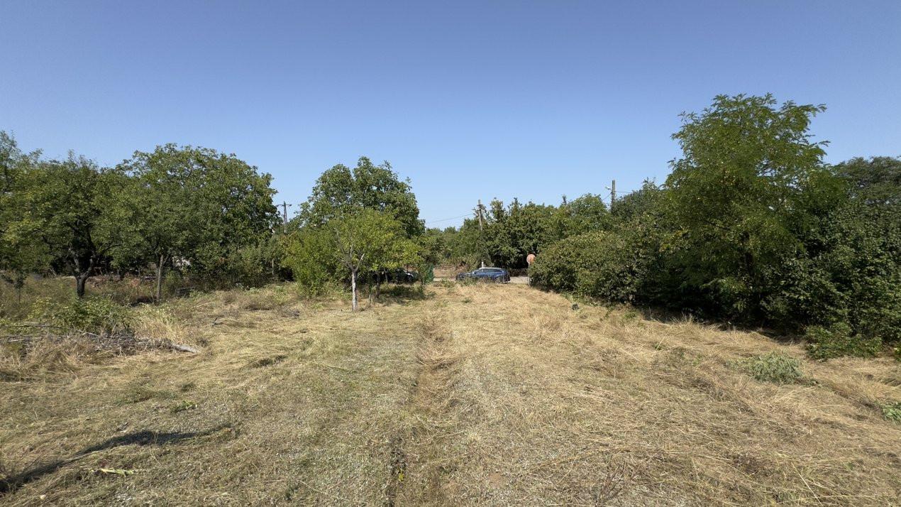 De vânzare Teren extravilan 2000 mp Carei – Grădina Viilor, Valea Tireamului 