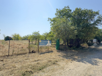 De vânzare Teren extravilan 2000 mp Carei – Grădina Viilor, Valea Tireamului 