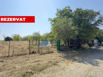 De vânzare Teren extravilan 2000 mp Carei – Grădina Viilor, Valea Tireamului 