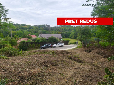 Teren 2552 mp x 14€ Mosoaia Hintesti -Strada  Basangesti